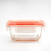 Christmas Promotional Best Rectangle  Glass Airtight Container